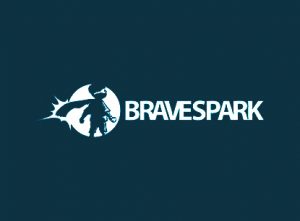 Bravespark Case study Market Research