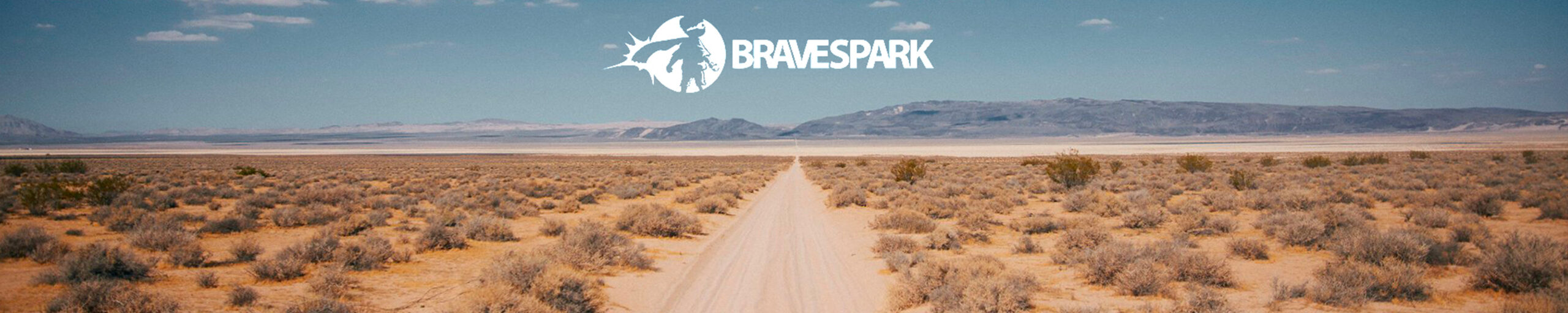Bravespark