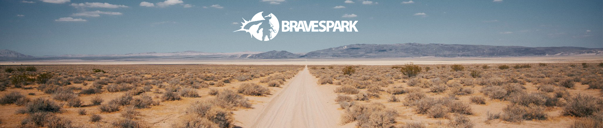 bravespark Study Single banner bravespark Study Single banner